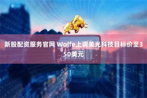 新股配资服务官网 Wolfe上调美光科技目标价至350美元